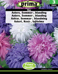 Asters – Sommerblanding