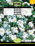 Brudeslør