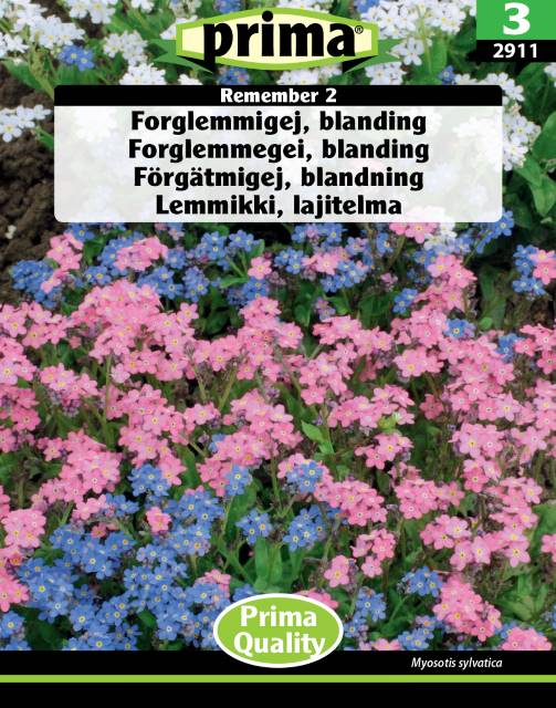 Forglemmigej – Blanding blå og lyserød