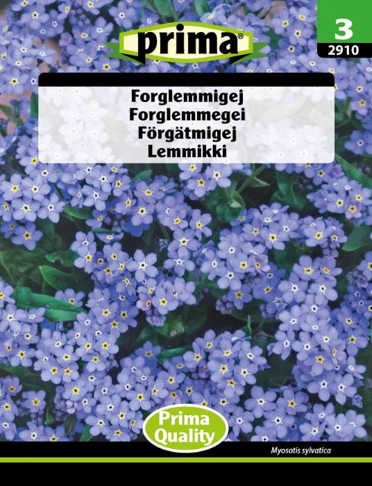 Forglemmigej