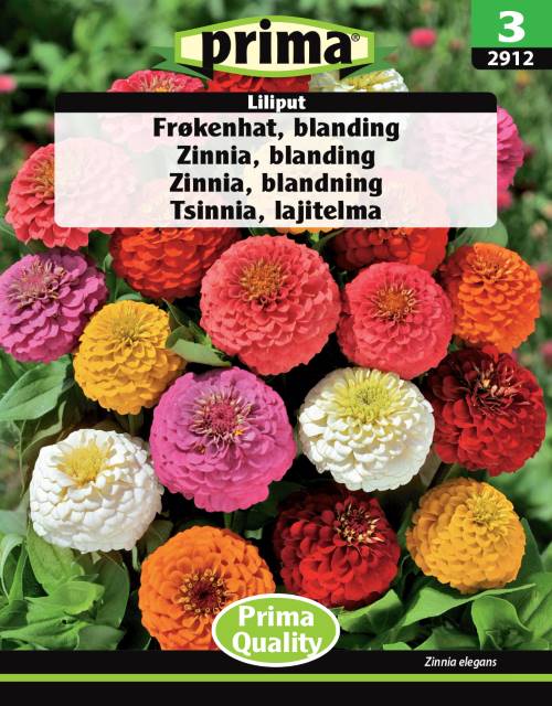 Frøkenhat – Blanding