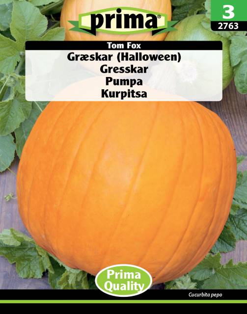 Græskar (Halloween)