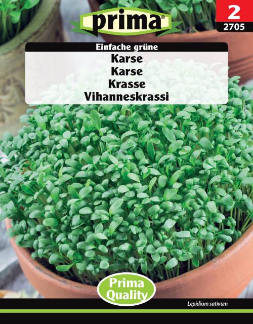 Karse