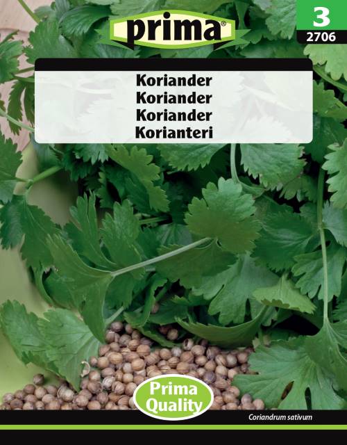 Koriander