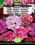 Nellike, Studenter – Blanding