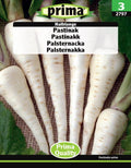 Pastinak