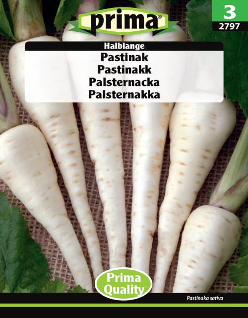 Pastinak